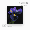 Navy blue iris flower bead loom tapestry pattern